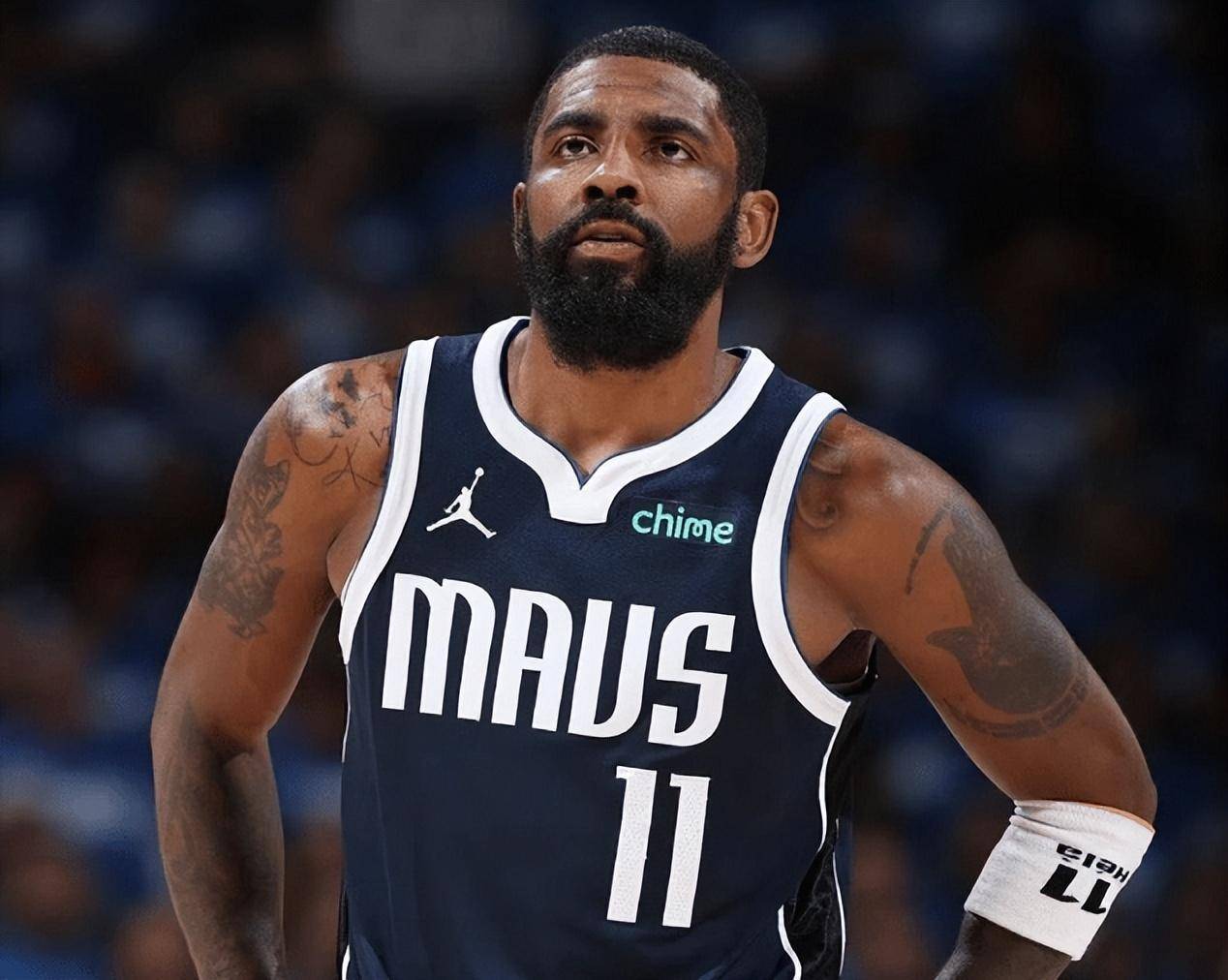 他们将占据 他们将占据