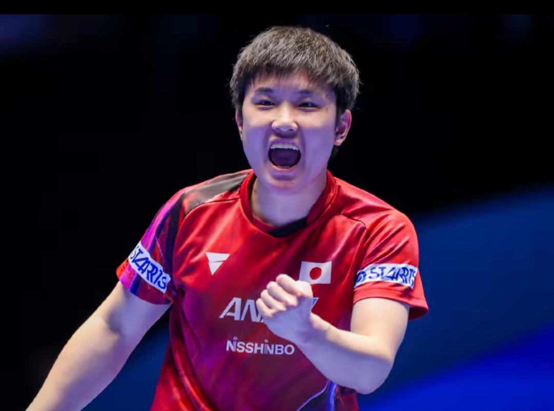 处在堪称 处在堪称